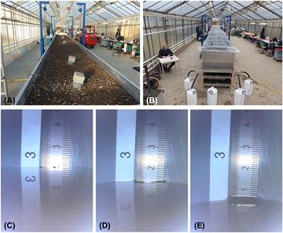 Unprecedented Retention Capabilities of Extensive Green Roofs—New Design Approaches and an Open-Source Model